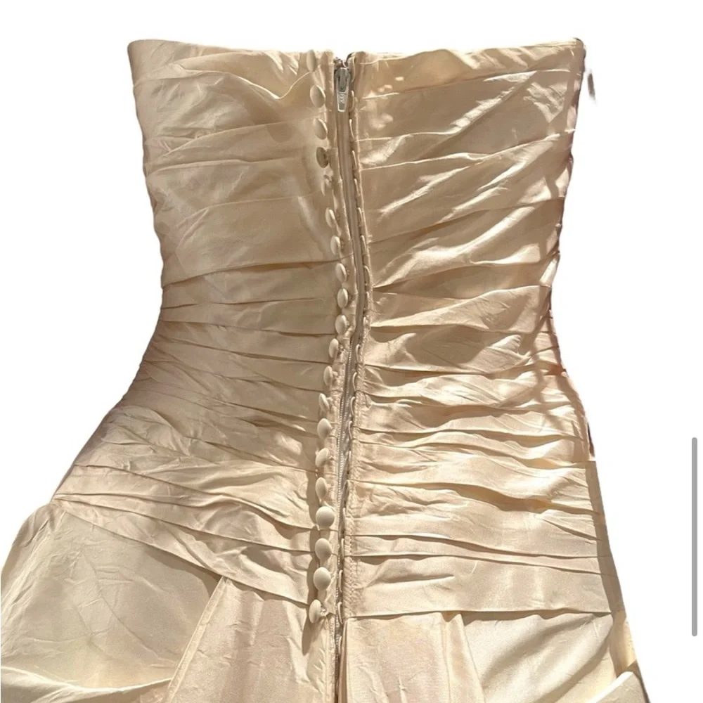 NWT ENZOANI Erica Light Ivory/Antique Gold Koyna Silk Princess Dress (6) - Picture 9 of 14
